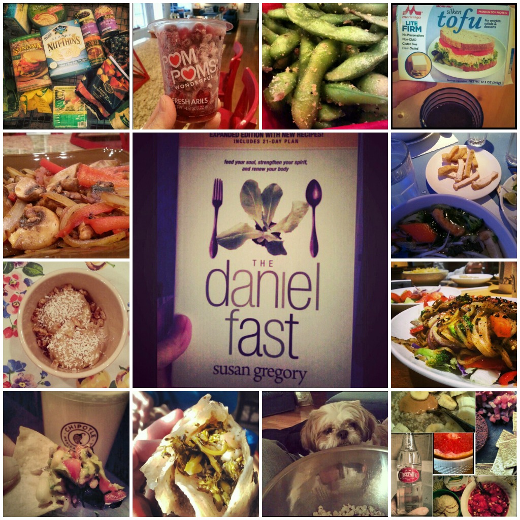 Where can you find reviews of the Daniel fast 21-day meal plan?